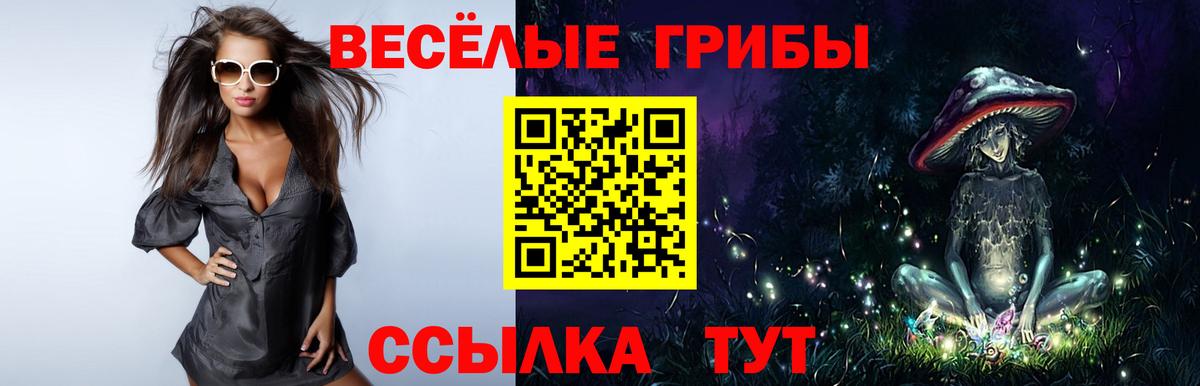 Галлюциногенные грибы MAGIC MUSHROOMS  Вход с VPN  Балашиха 